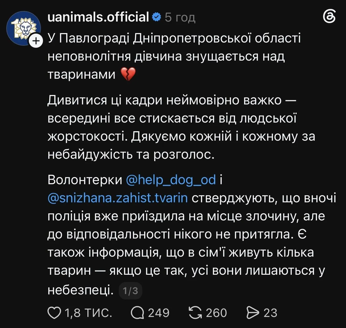 Душила котов, выкалывала глаза и снимала все на видео: в Павлограде разгорелся скандал из-за школьницы-живодерки