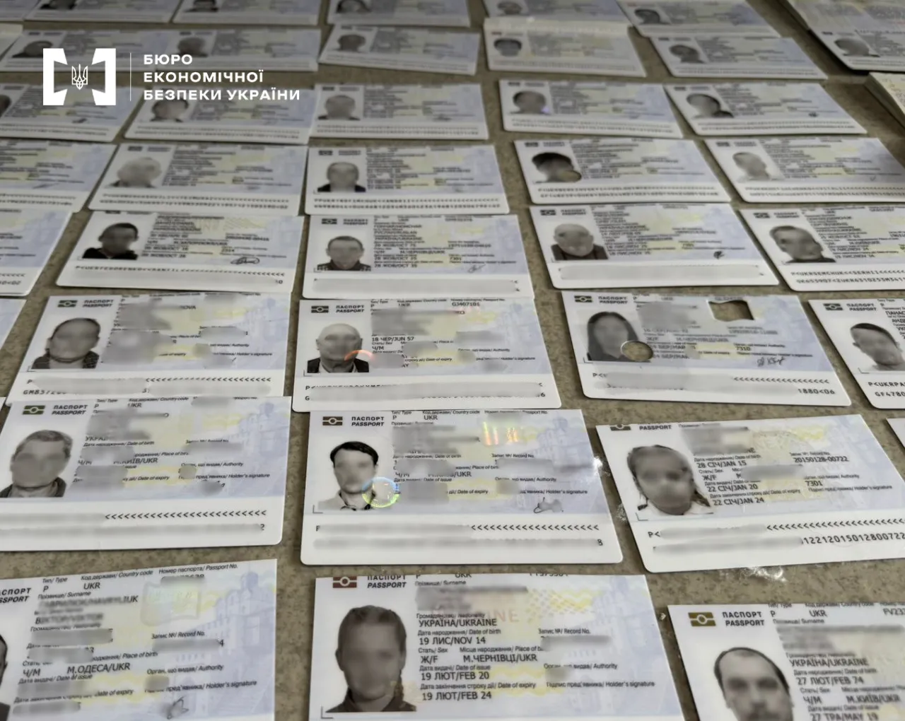 Документы массово подделывали для иностранцев