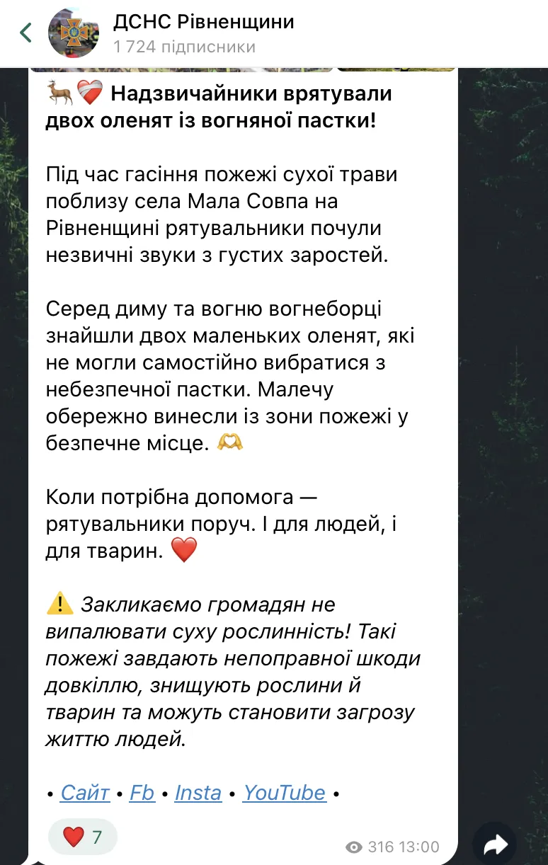 На Ривненщине пожарные спасли двух оленят из огненной ловушки. Фото