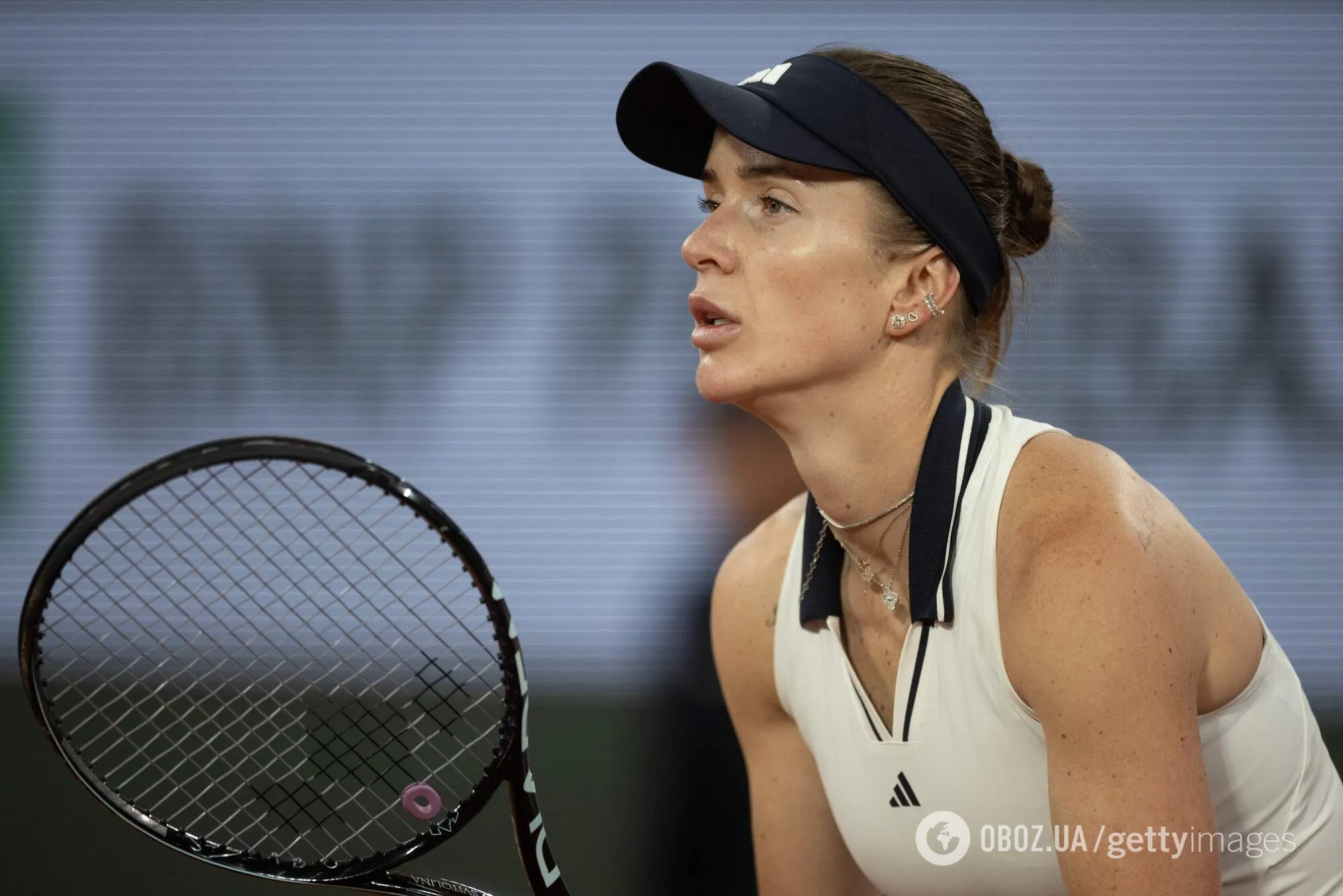Стало известно, сколько заработали Костюк и Свитолина на Roland Garros-2026
