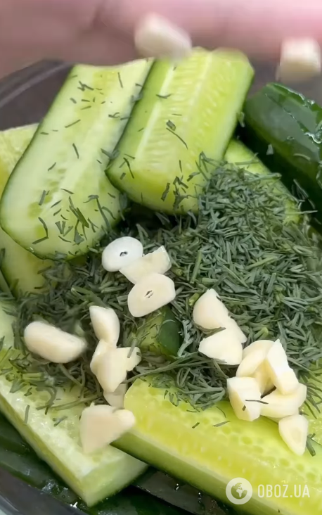 Быстрые маринованные огурцы с соевым соусом, укропом и чесноком: как вкусно приготовить