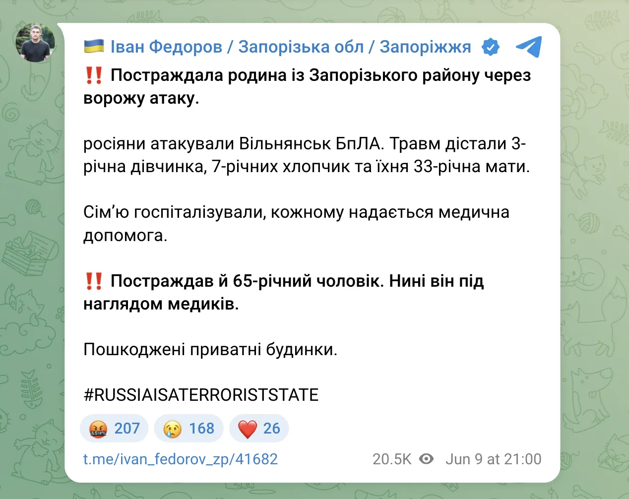 Росіяни атакували дроном житловий будинок на Запоріжжі: серед постраждалих жінка і двоє дітей. Фото