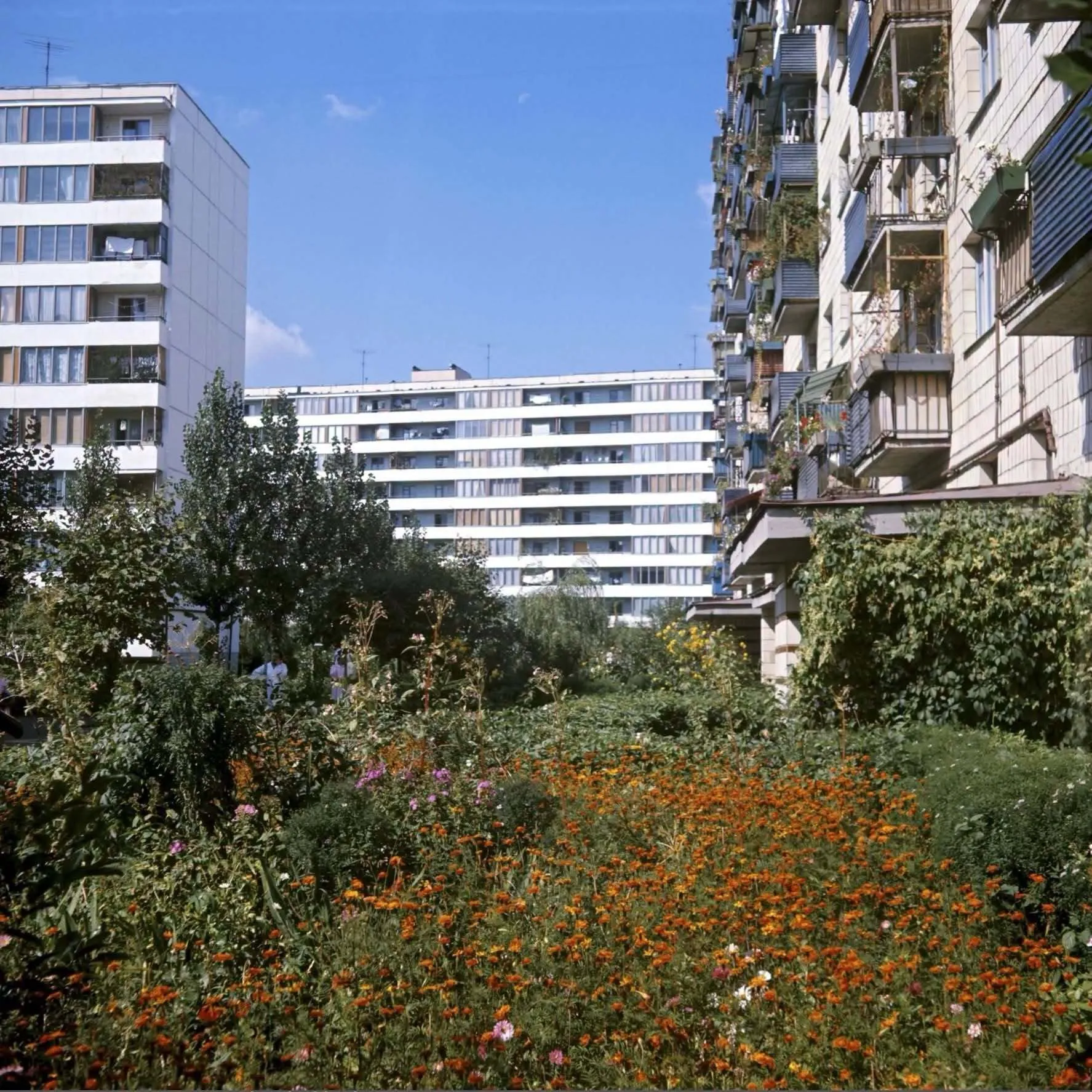 Русанівка, 1970-ті та 80-ті. Київ.