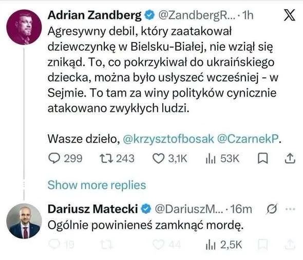Обмен мнениями между поляками в сети