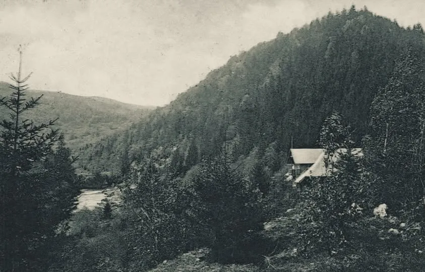 Гірський пейзаж Яремче, фото 1904 року.