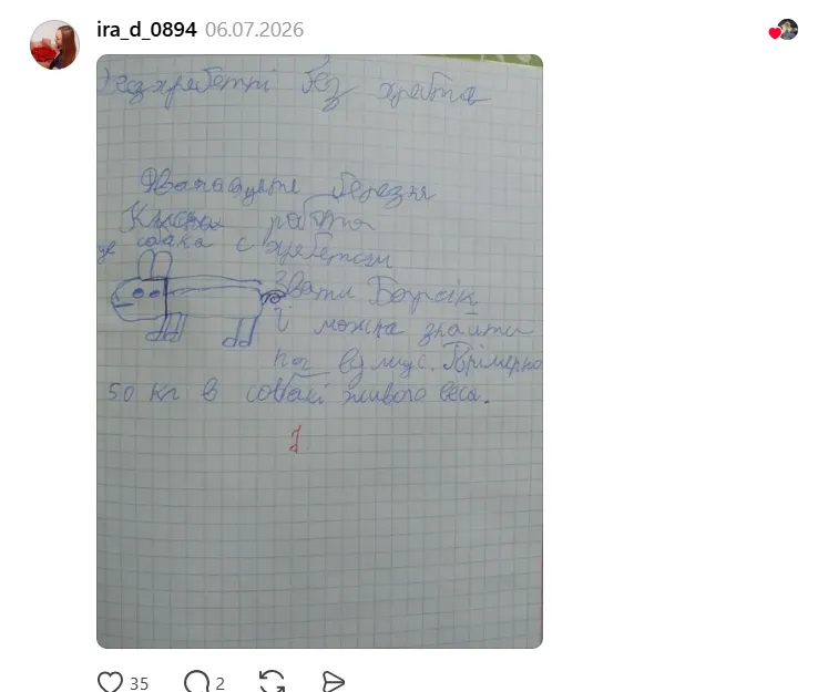 "Ївга на "пїзді"", "непонятне" задание и диктант "за упокой": перлы школьников довели украинцев до истерического смеха
