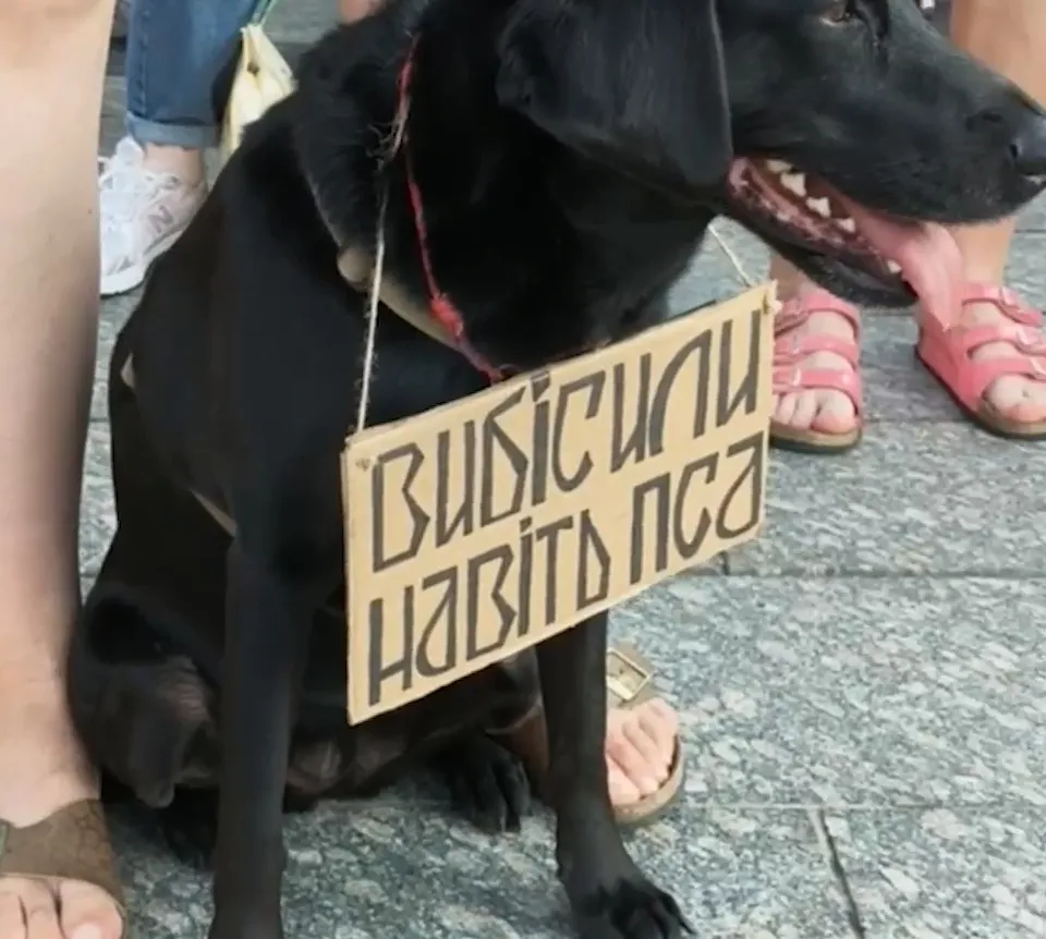 Протесты по поводу увольнения Федорова