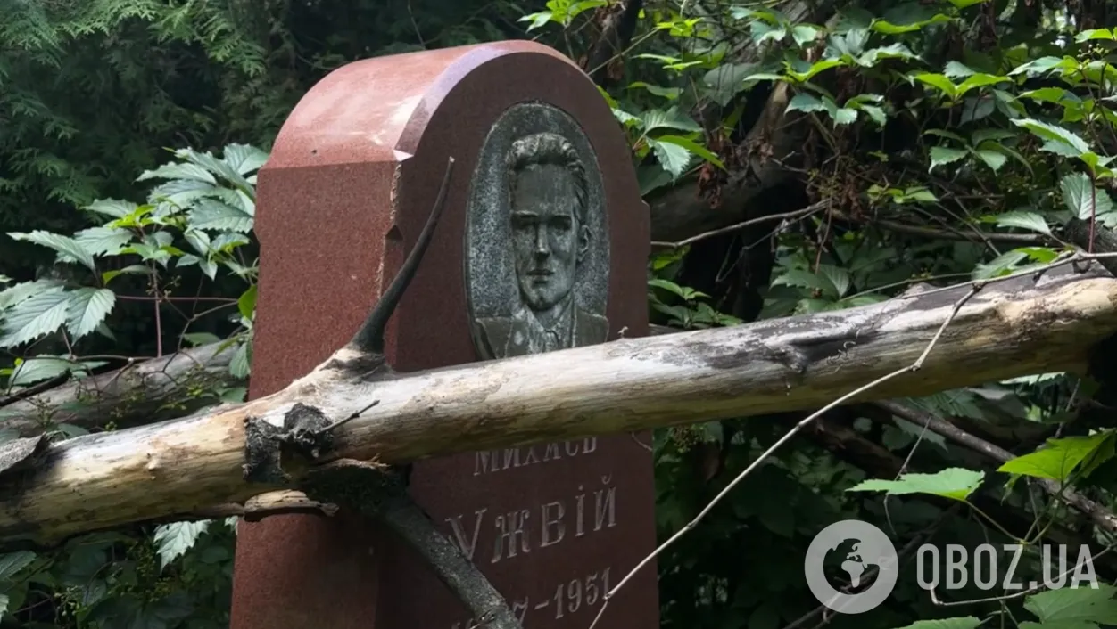На могилу Михайла Ужвія впало дерево