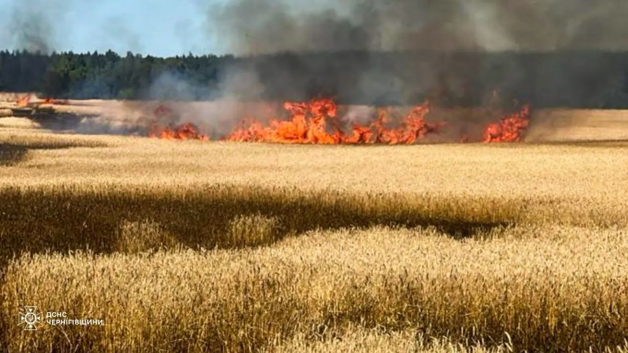 Пожежі на Чернігівщині внаслідок російських ударів