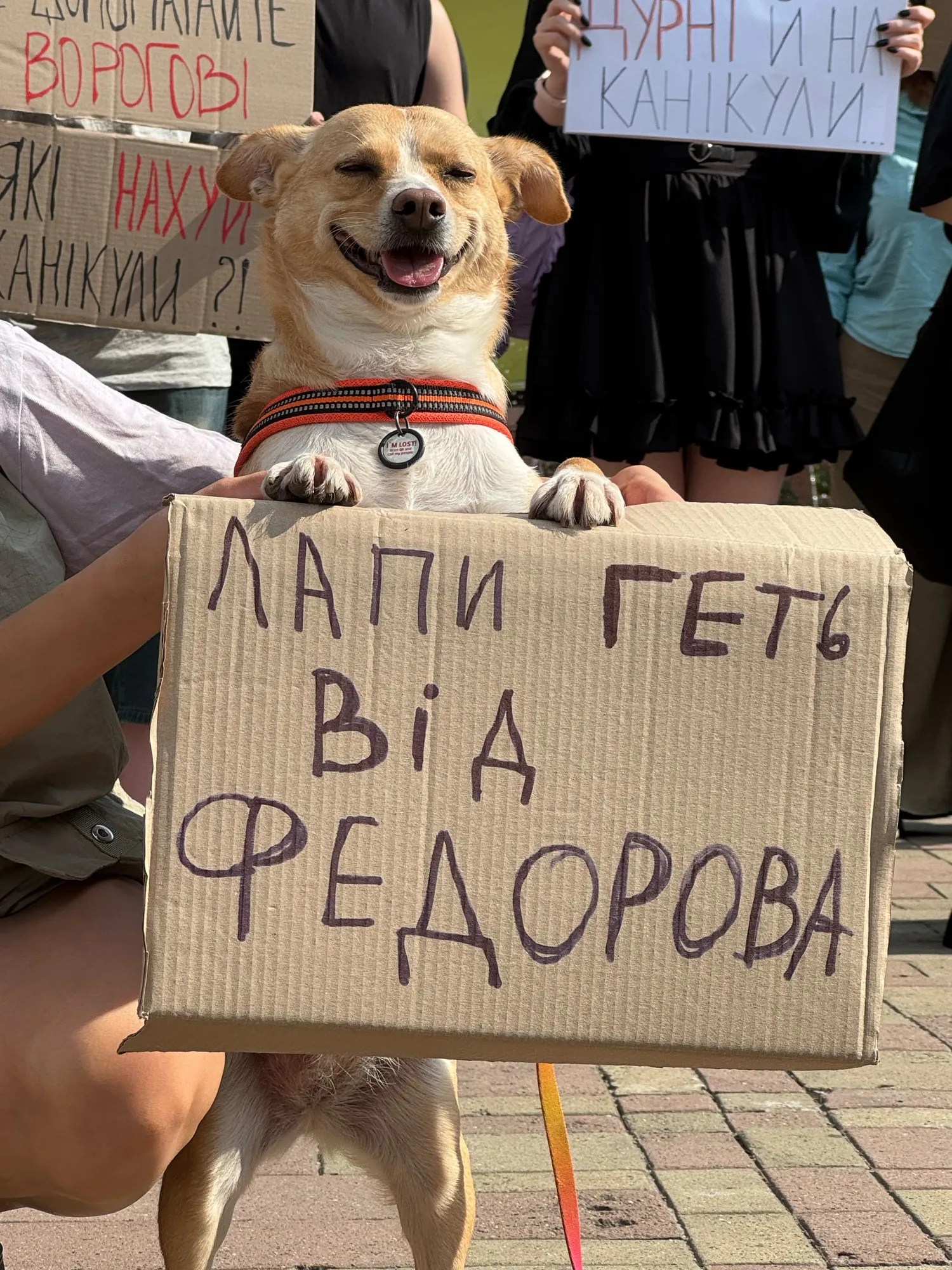 Тварини теж беруть участь у мітингу.