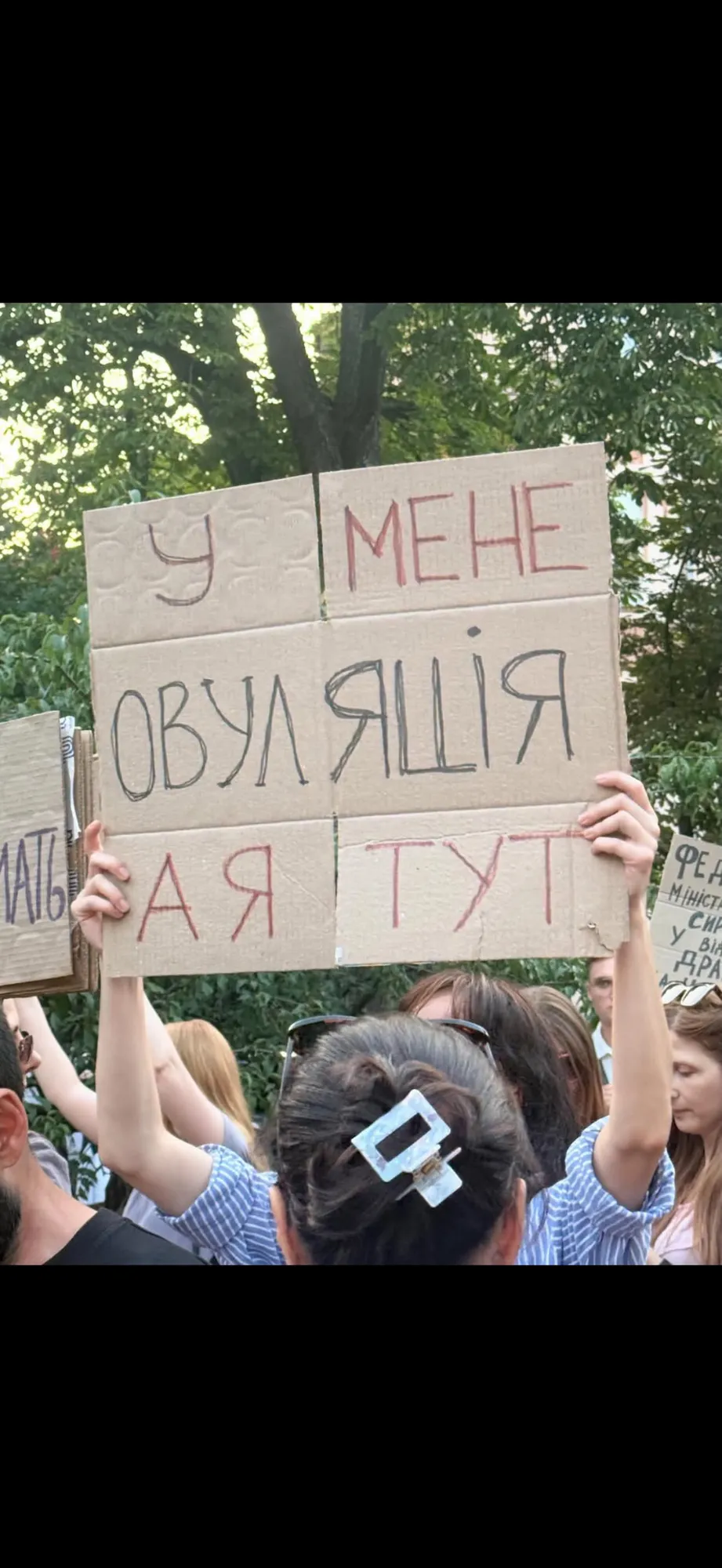 Надписи на картонних плакатах.