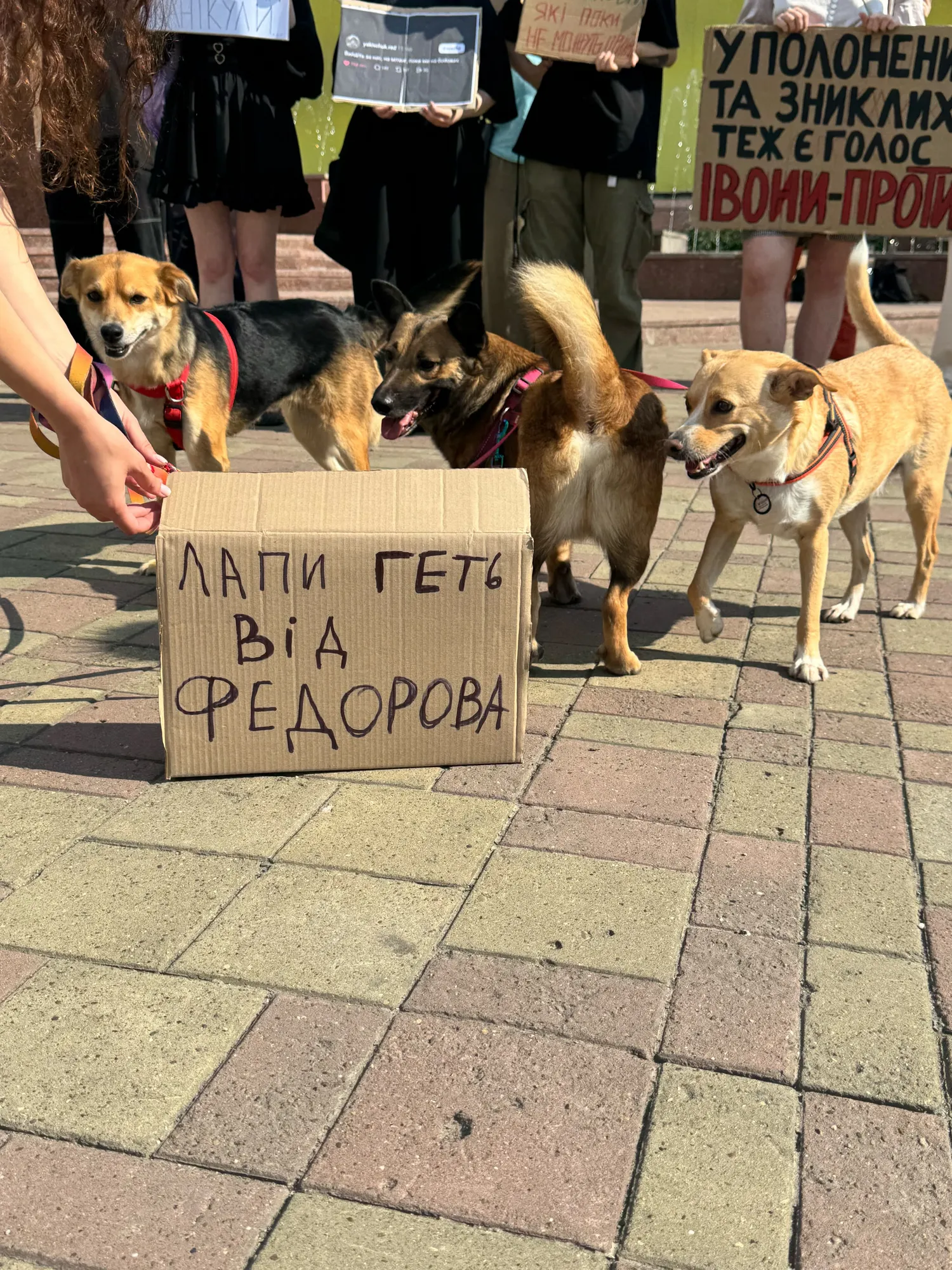 Тварини на мітингу.