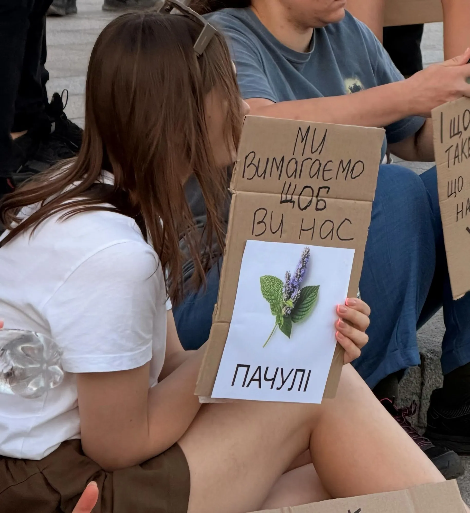 Креативні надписи учасників мітингу.