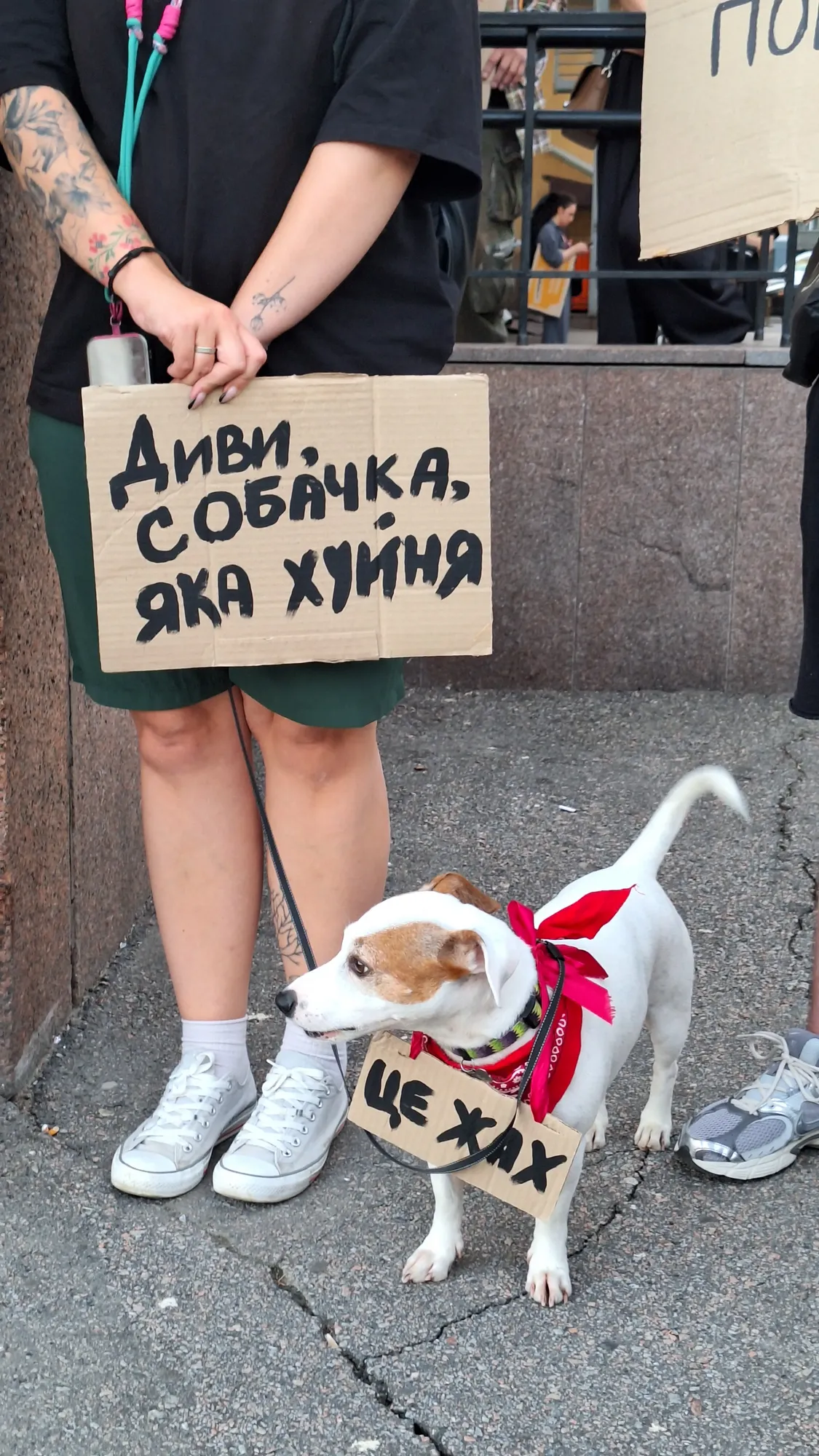 Учасники приходять з домашніми тваринами.