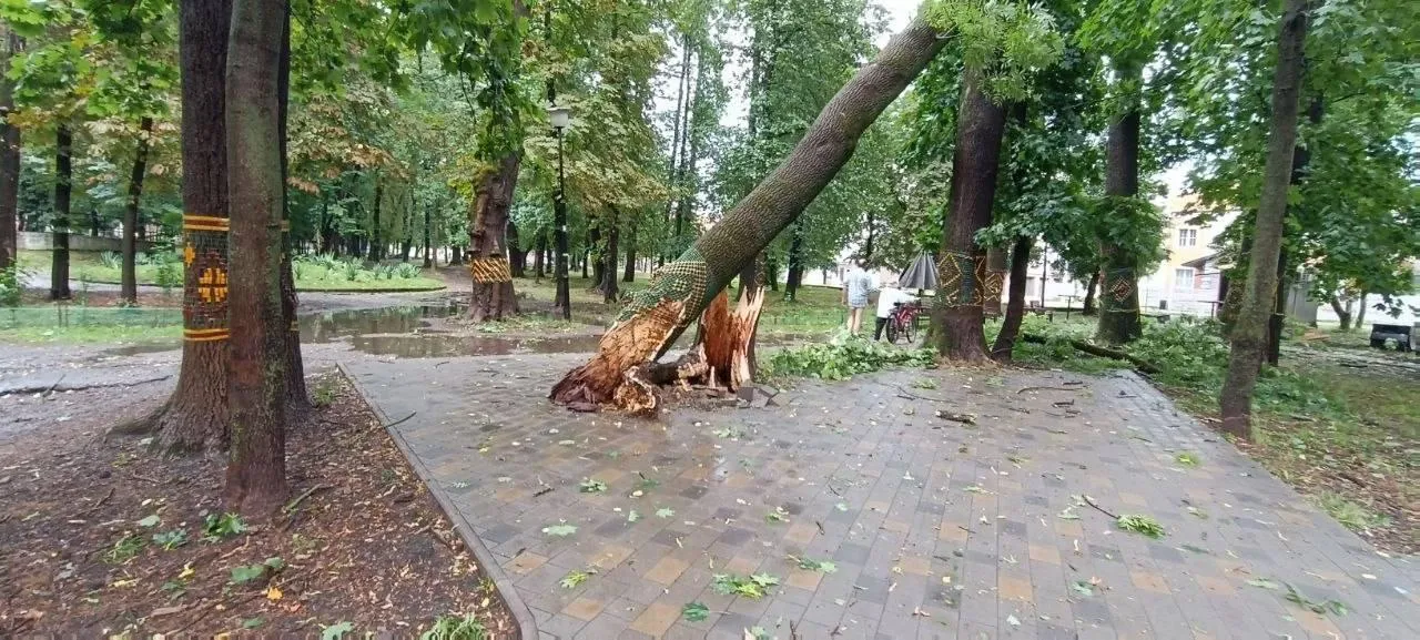 В Прикарпатье объявлен I уровень опасности (желтый).