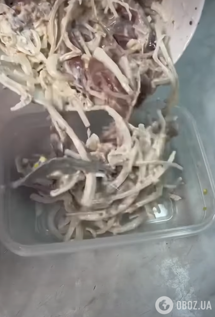 Селедка в майонезе: как вкусно приготовить