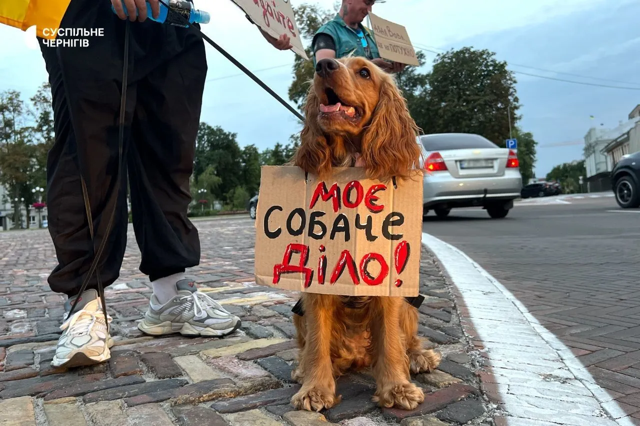 Мітинг в Чернігові проти відставки Федорова