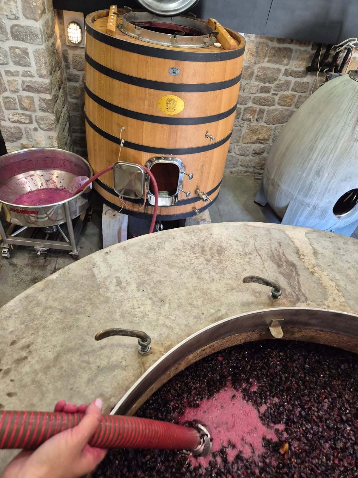 Винодельня Saints Hills Winery.