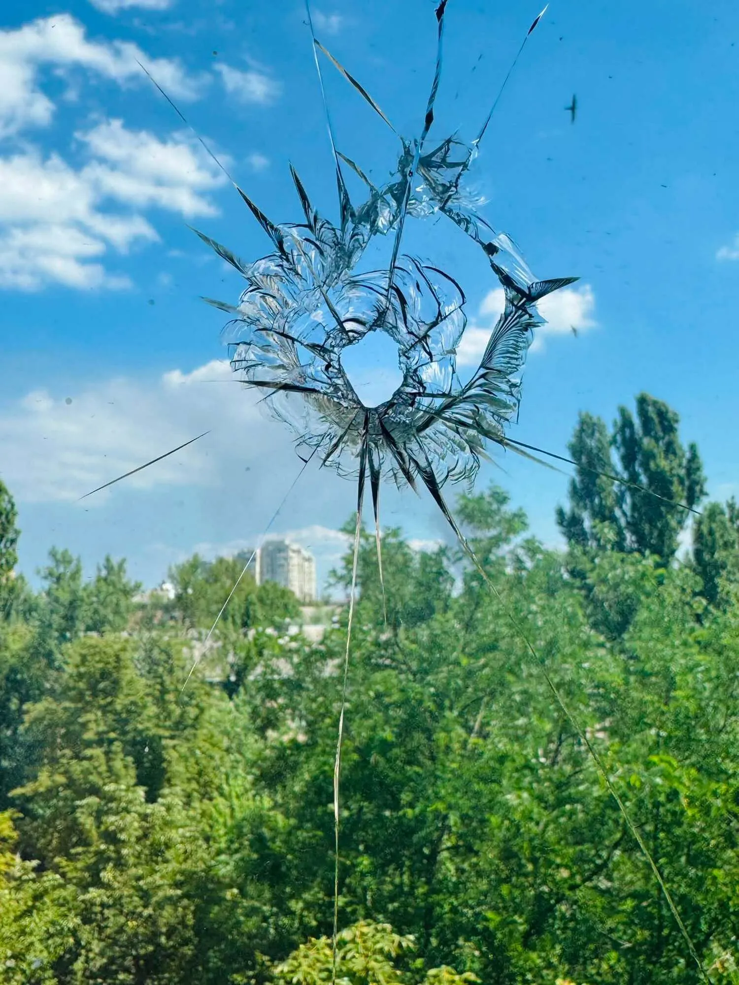 Режиссер рассказала, что в момент атаки находилась за городом, а ее муж и сын оставались в Киеве
