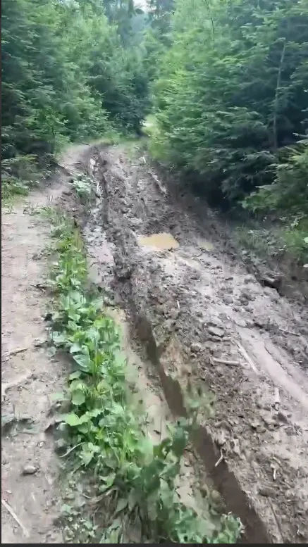 Який вигляд мають стежини Карпат після джипінгу.