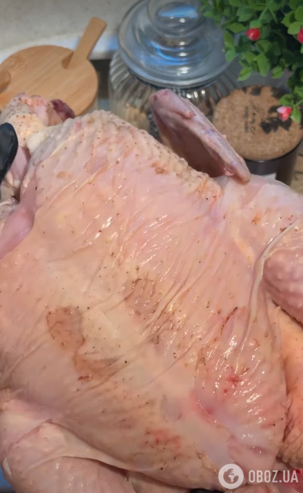Как приготовить сочную курицу в духовке: делимся идеальным рецептом