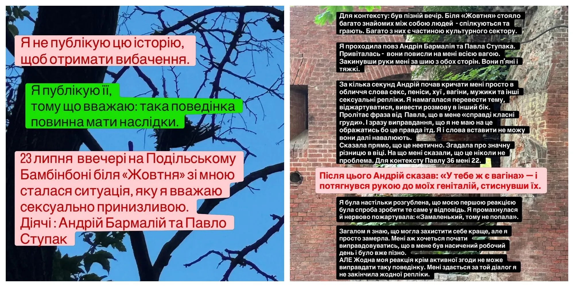Алина Галицкая рассказала об инциденте