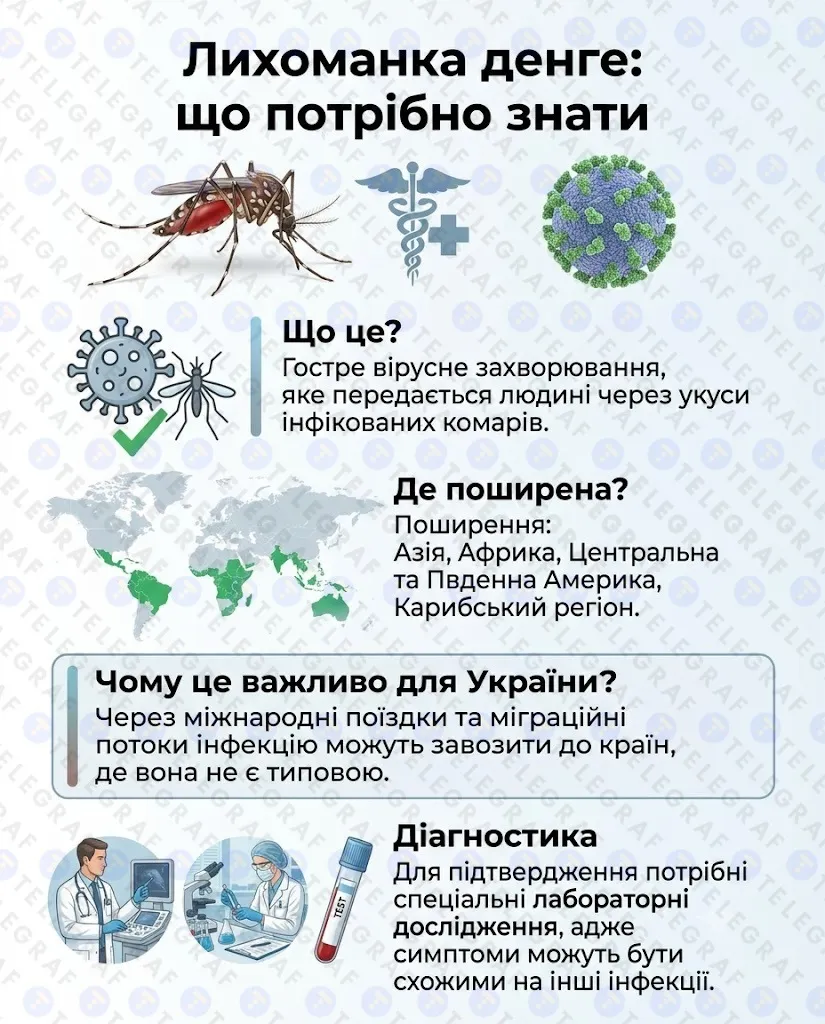 Що потрібно знати про лихоманку денге