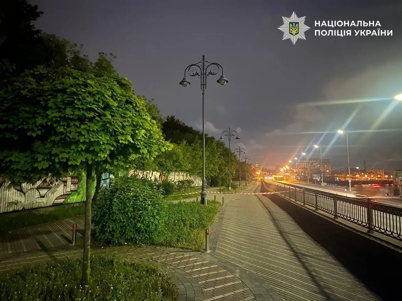 Преступление было совершено на Набережном шоссе возле Пешеходного моста.