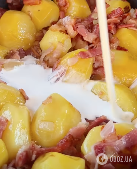 Молодой картофель с нежном сырном соусе: делимся рецептом вкусного и простого в приготовлении блюда