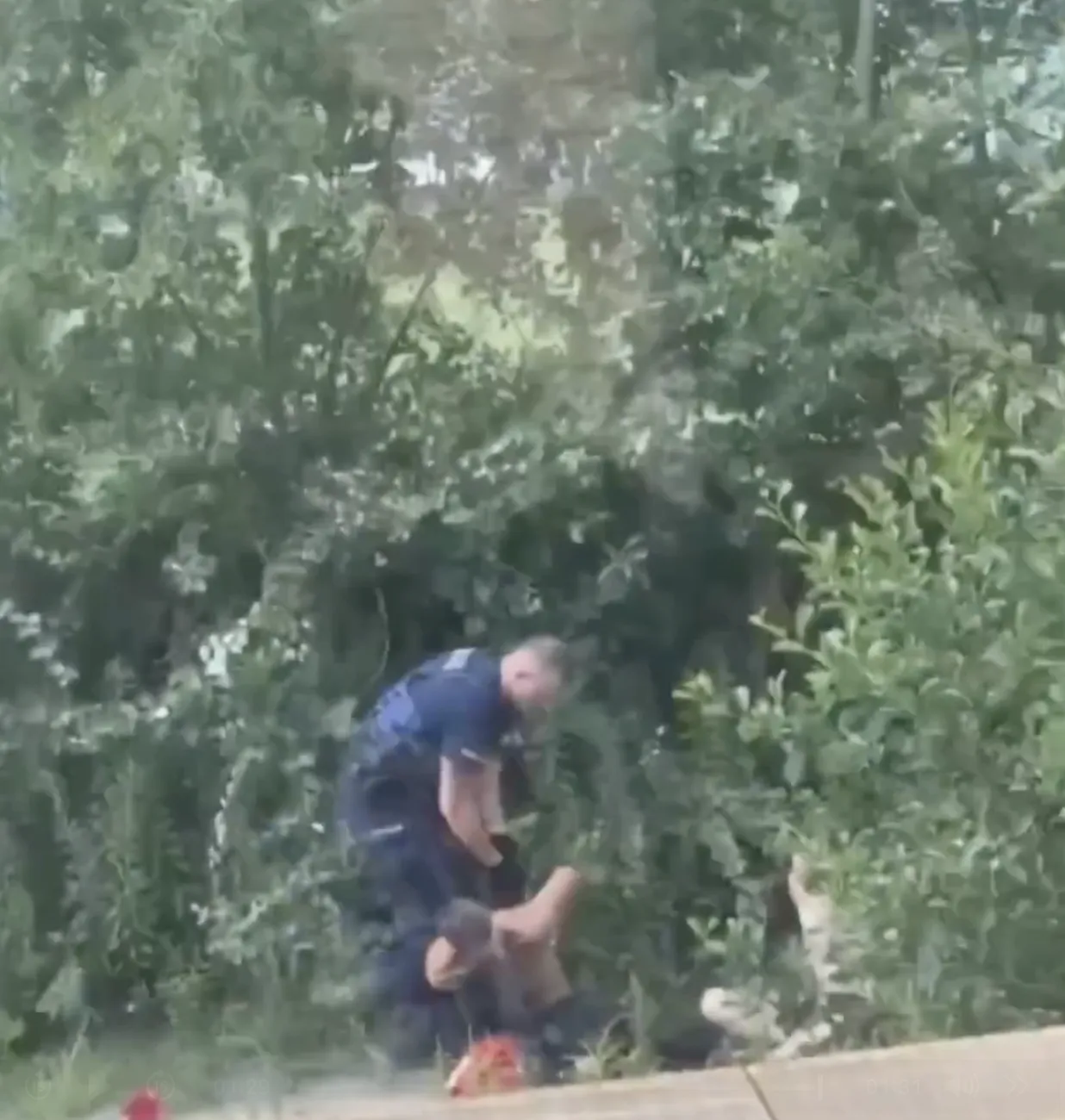 Агрессивных поляков передали полиции.