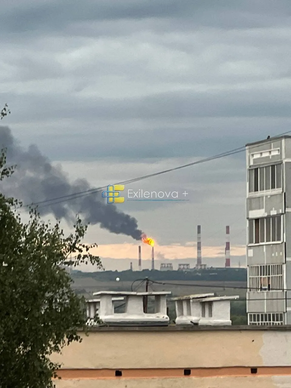 В Нижнекамске пожаловались на нападение