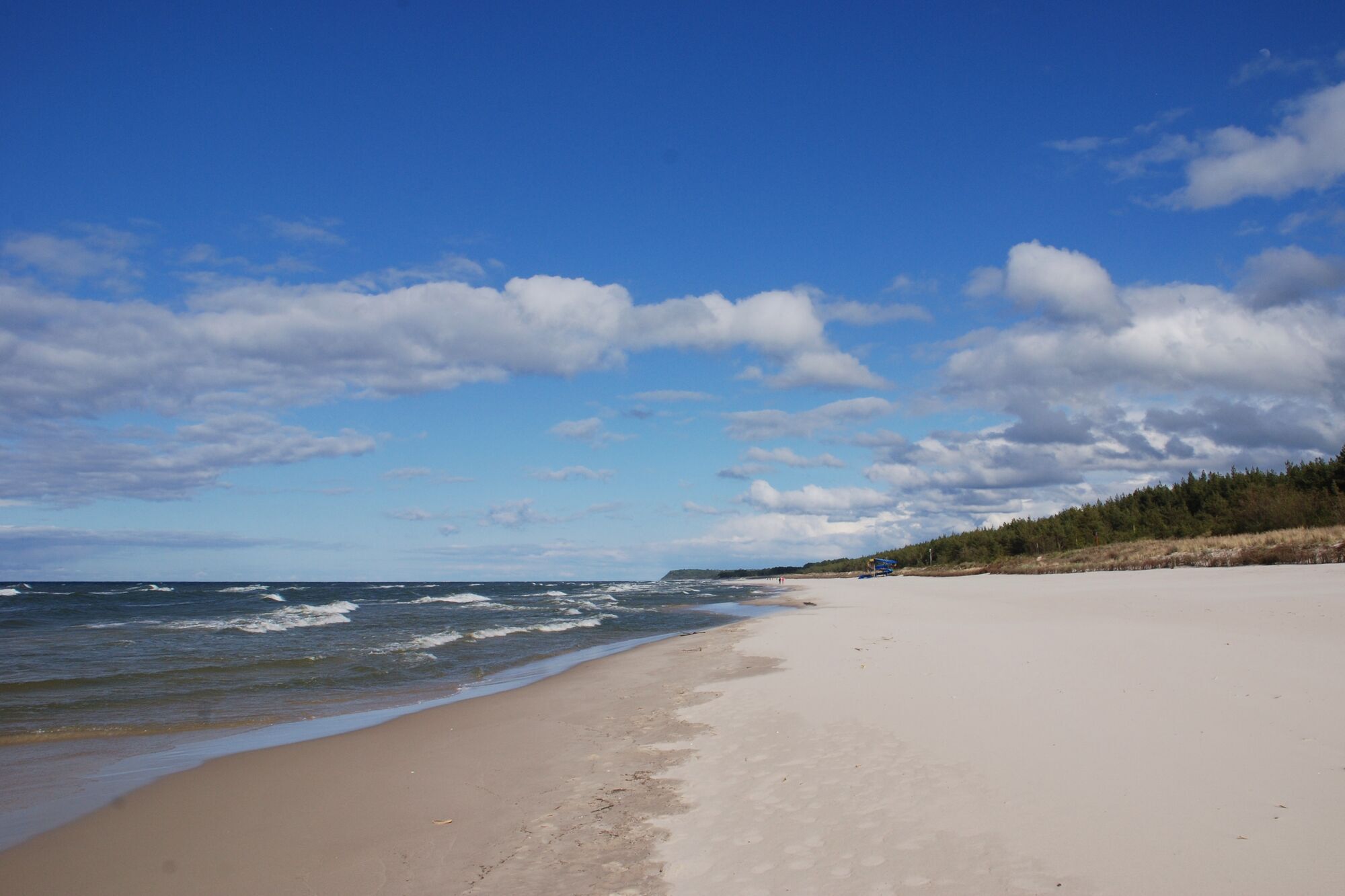 Карвіа у Польщі.