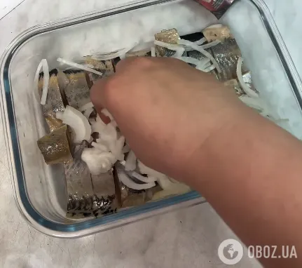 Лук для сельди