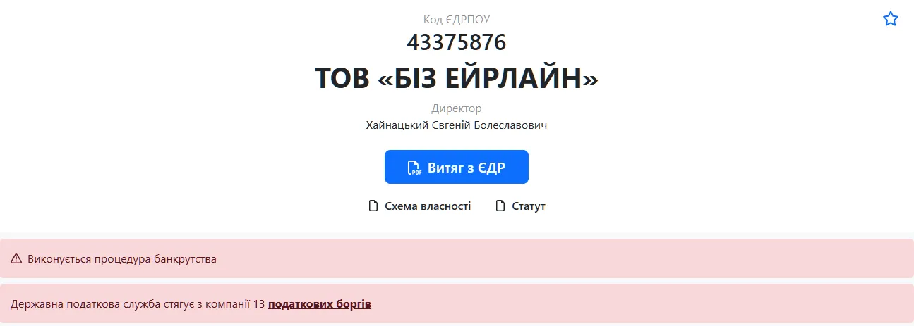 Biz Airline начала процедуру банкротства
