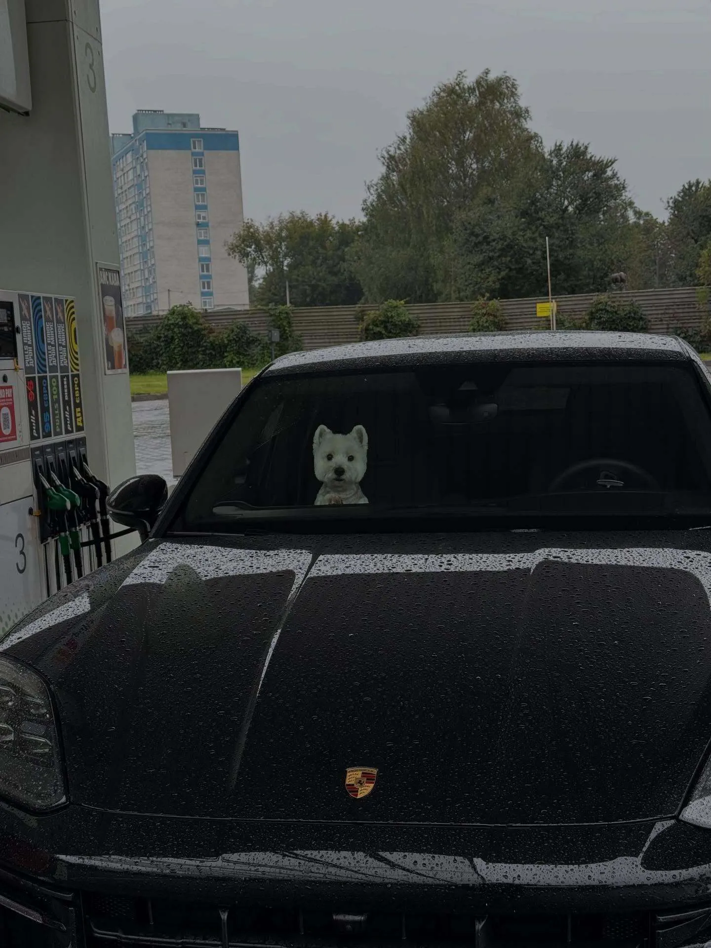 Авто Никитюк