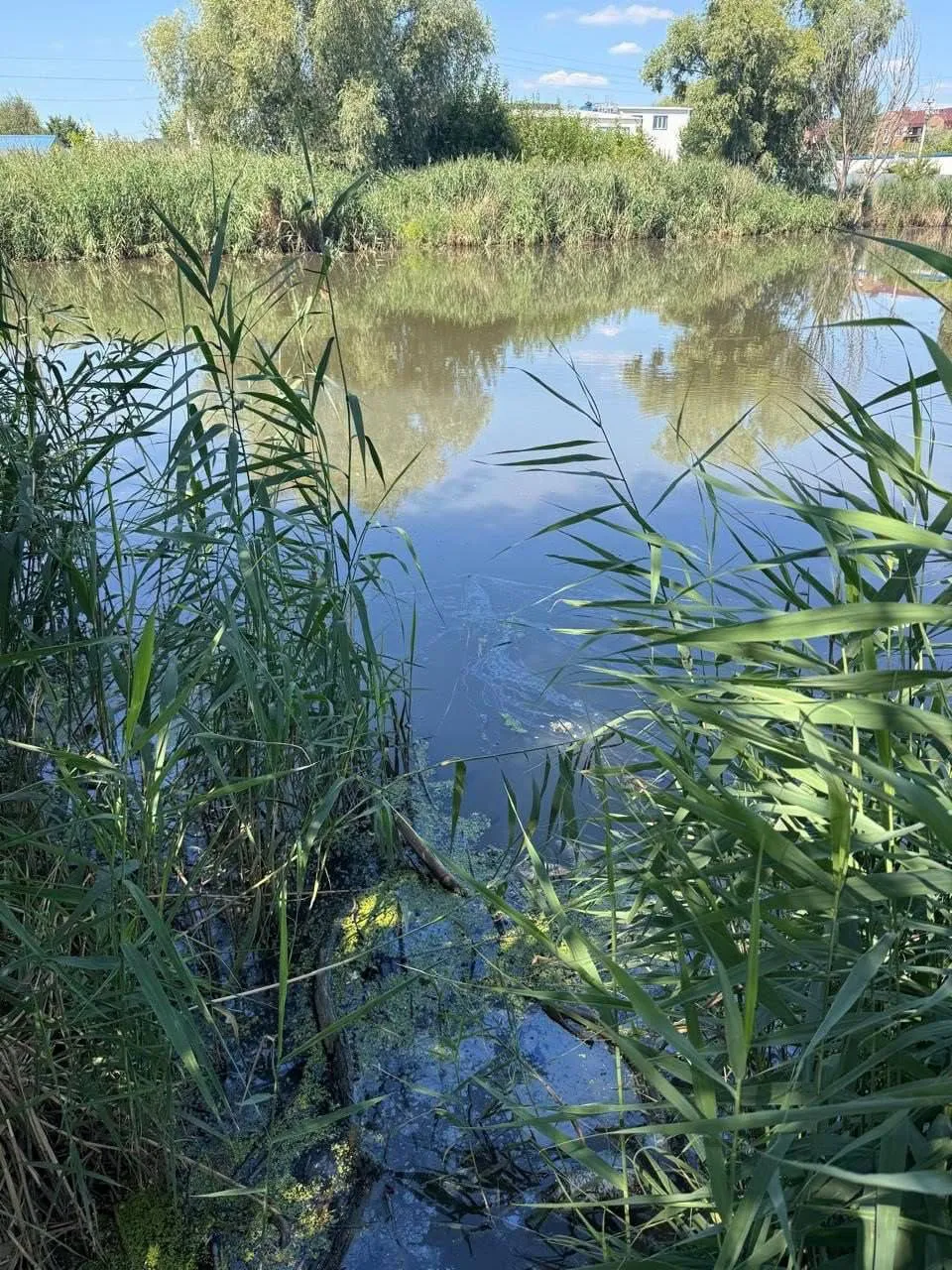 Чрезвычайное происшествие зафиксировали на трёх водоёмах.