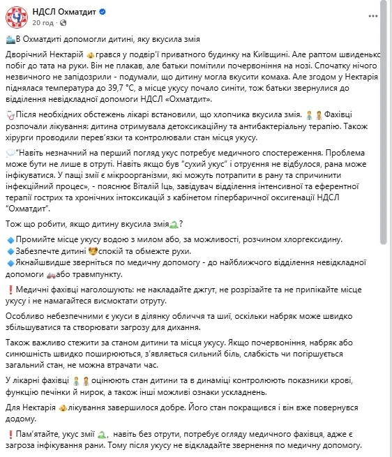 Змія укусила дворічного хлопчика прямо на подвір’ї будинку.