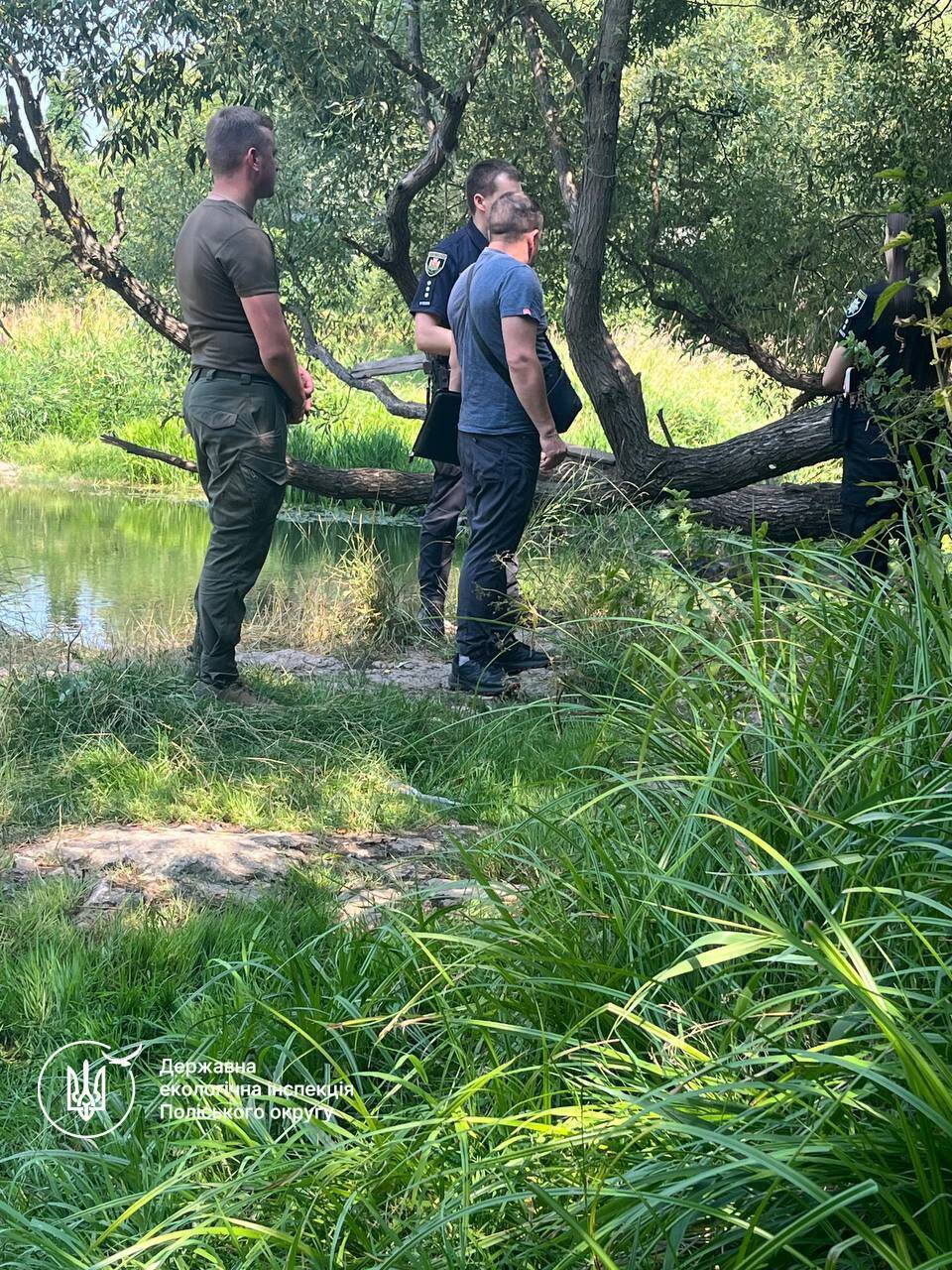 Масова загибель у Житомирі