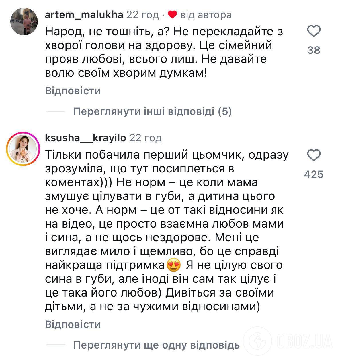 Некоторые поклонники встали на защиту певицы