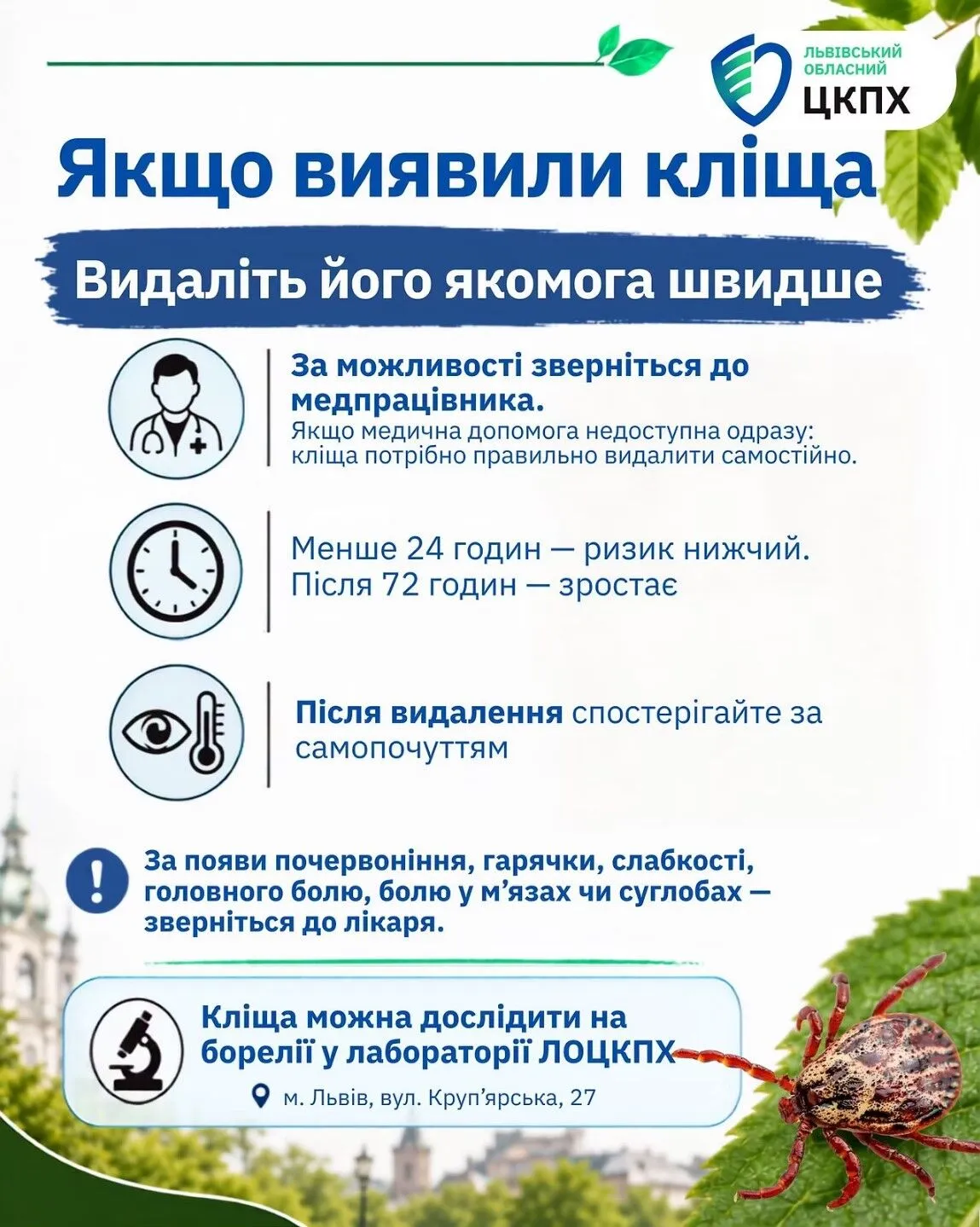На що звернути увагу після укусу?