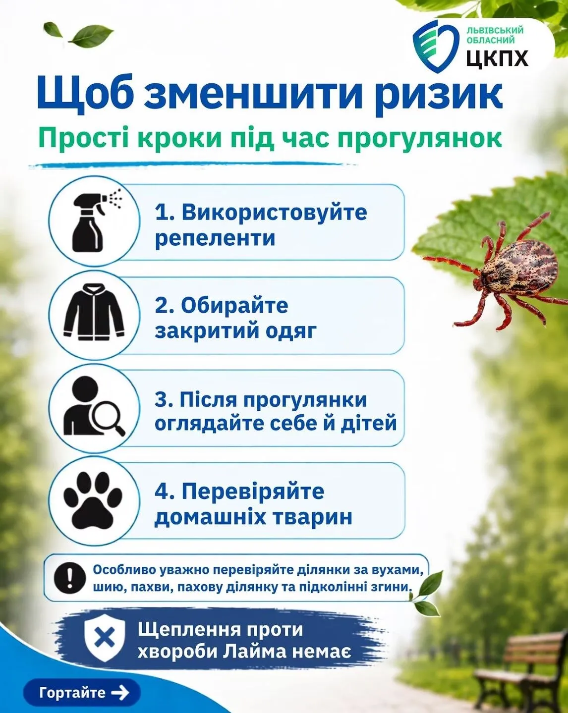 Що робити після укусу