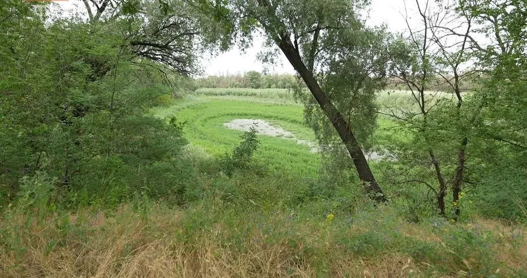 Відродження Великого Лугу