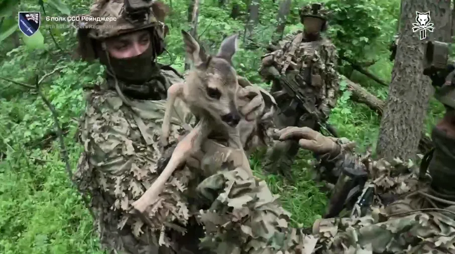 Скриншот з відео