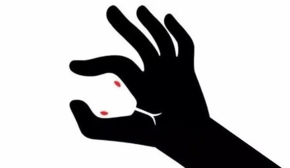 Что вы увидели на рисунке в первую очередь.