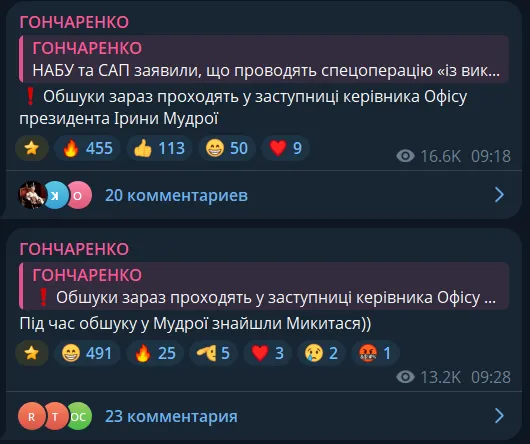Обшуки проводять у Ірини Мудрої