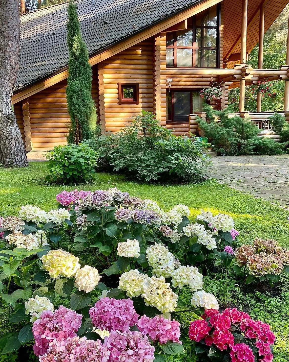 Ротару ділилася фото будинку в Конча-Заспі