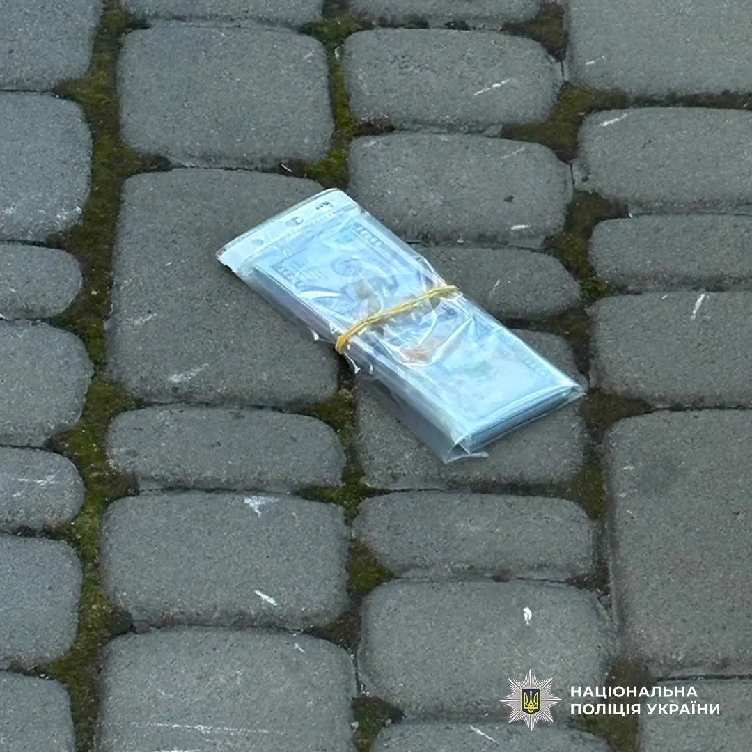 Зловмисницю затримали на гарячому.