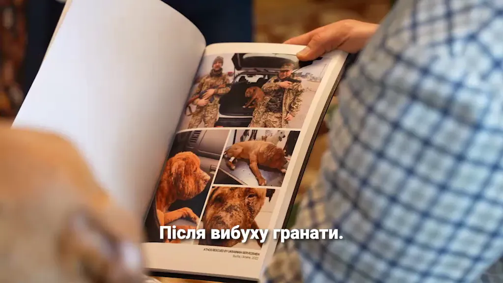 История щенка