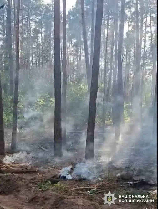 Внаслідок падіння уламків ворожого реактивного дрона виникла пожежа.