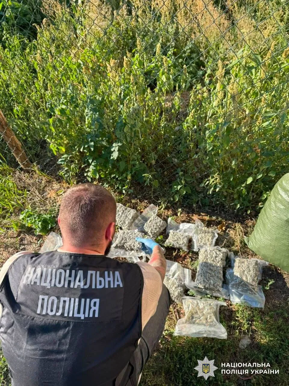 Ликвидирован наркосиндикат